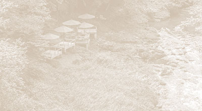 客室から見える景色 イメージ