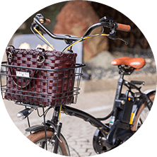 Rental Electric Bicycles