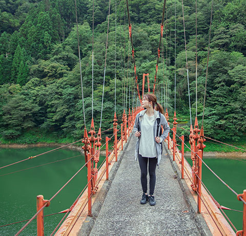 奥山中エリア イメージ