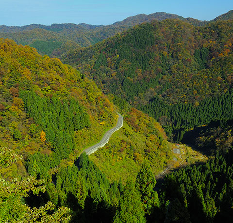 奥山中エリア イメージ