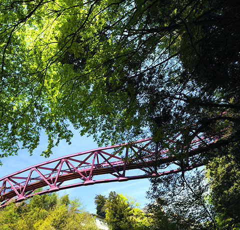 山中エリア イメージ