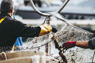 カニ漁 イメージ