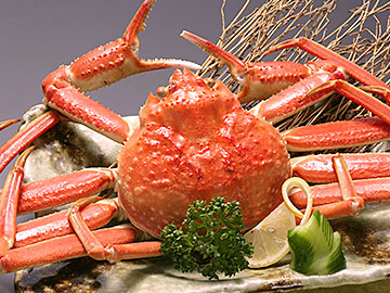 カニ(通年)