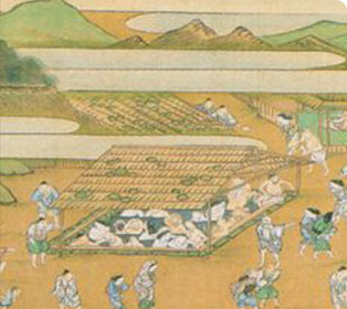温泉